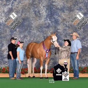 Meet your Posher, Clawson